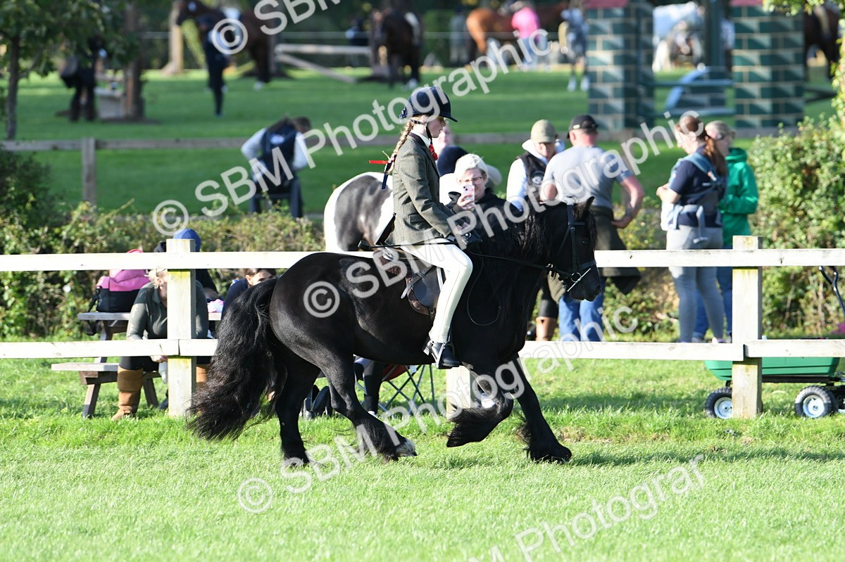 SBM_54085 - S23 - 1st Ridden Mountain & Moorland Pony