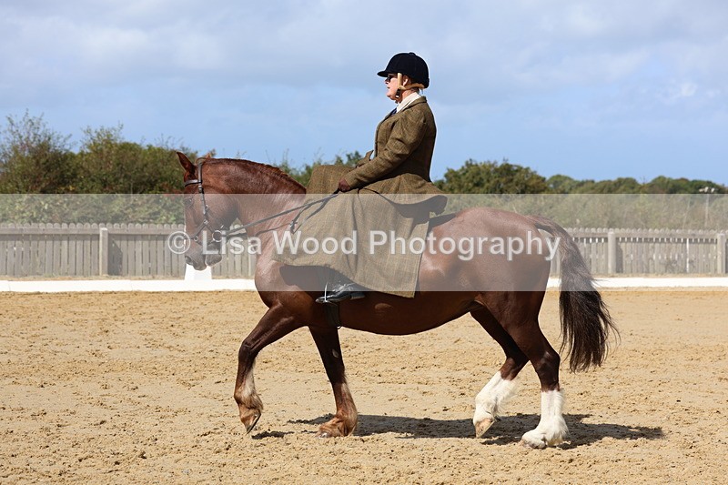 3E7A3576 - Class 7:  Preliminary Music