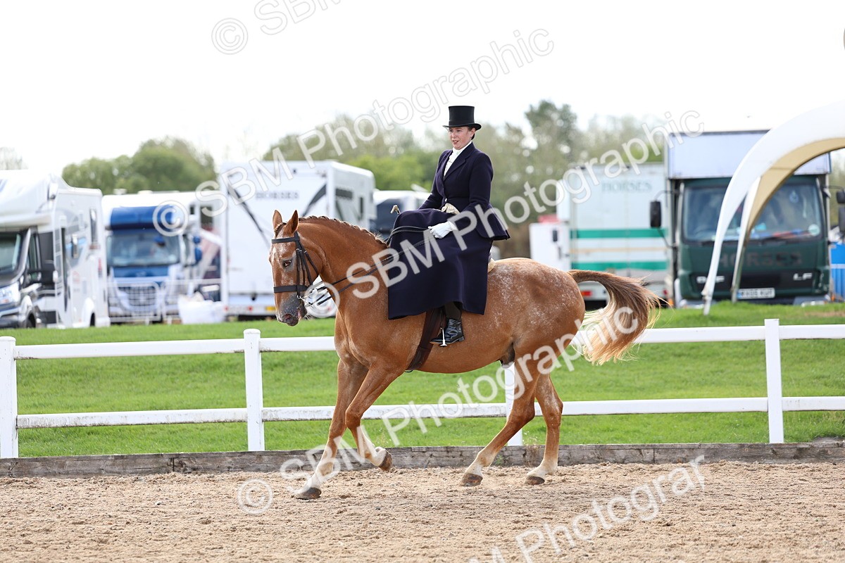 SBM_03248 - Class 22 - SSA Equitation (any age)