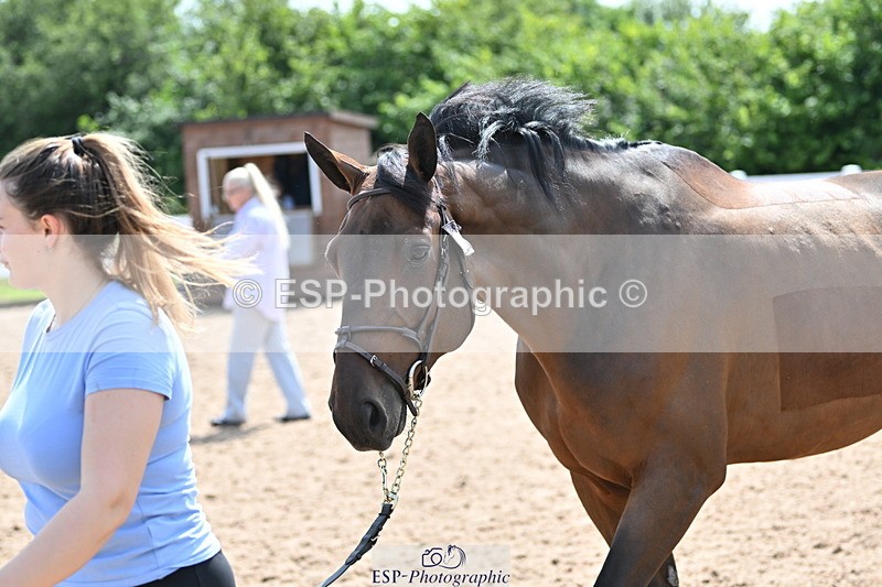 240717A-151653-02712 - Trot Up 3pm to 4pm