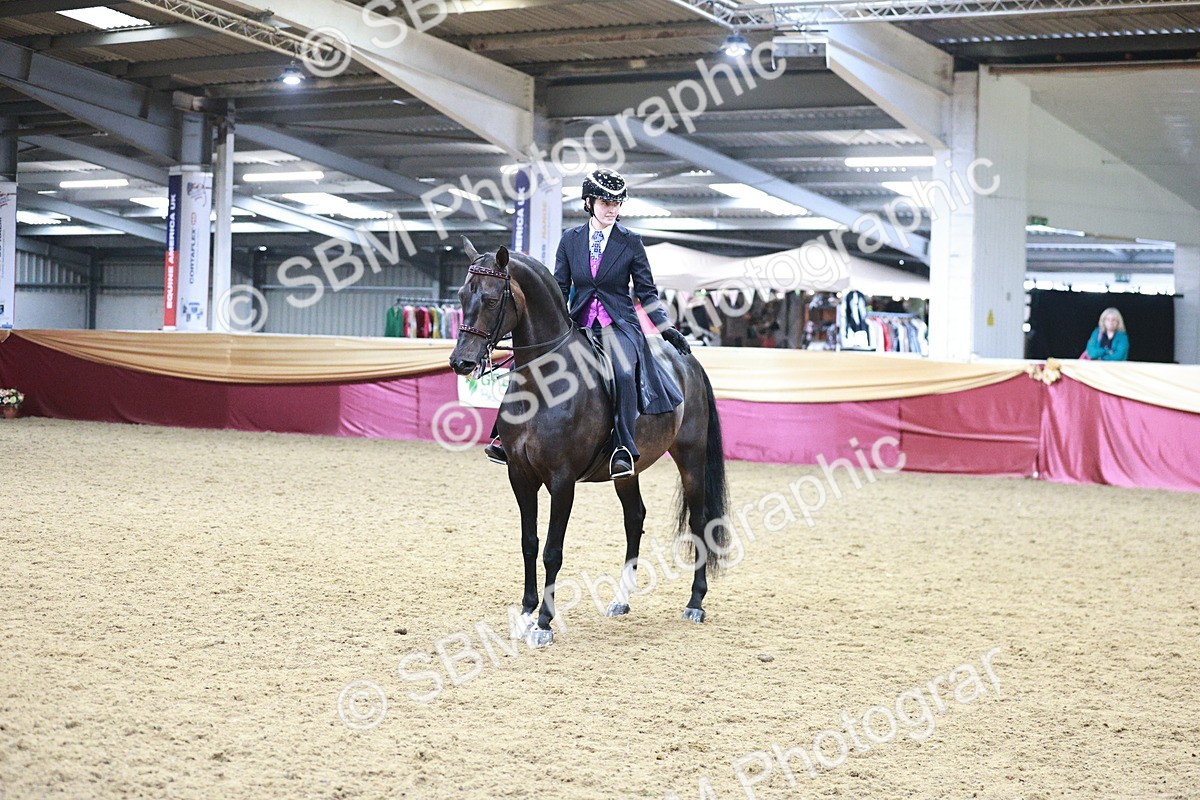 SBM_09083 - Class 12R - Regional Ridden Pre-Vet