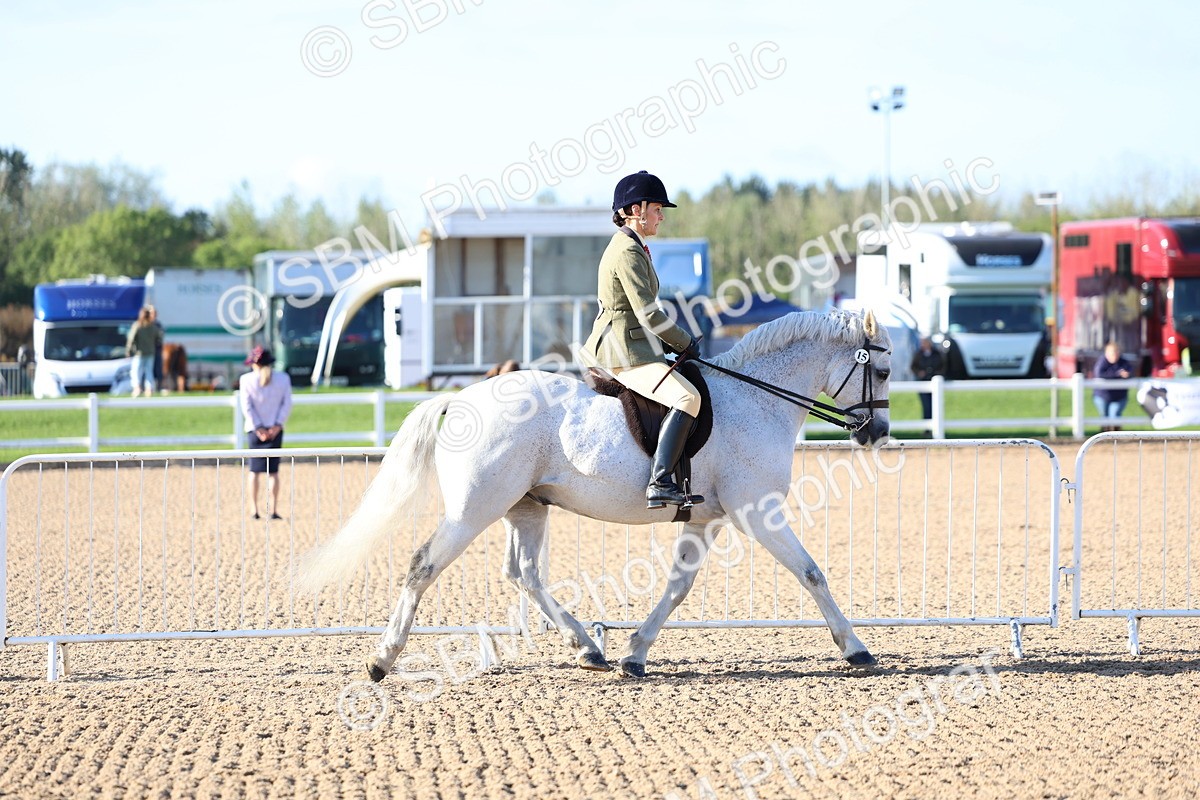 SBM_08784 - Class 302 - Ridden M&M - Large Breeds