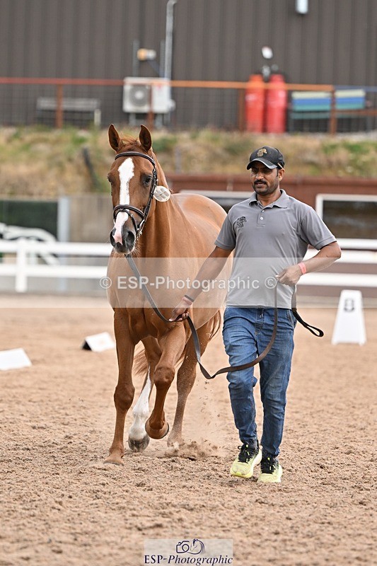 250716-145644-01538 - Trot Up 2.30 to 3.30