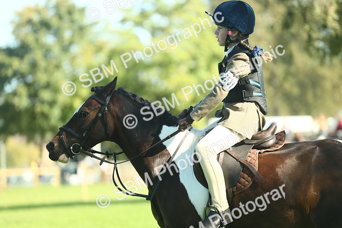 SBM_37538 - S29 - Novice & Newcomers Working Hunter Pony