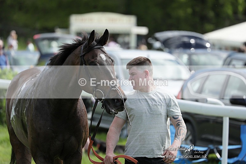 PtP 070523 250 - Kimblewick Races Coronation Meet  Kingston Blount 07/05/23