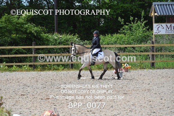 BPP_0077 - PRELIM 5 Q