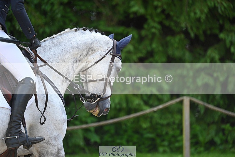 240526-095940-19816 - 327-COR_Y_TARAN-Toots_Bartlett