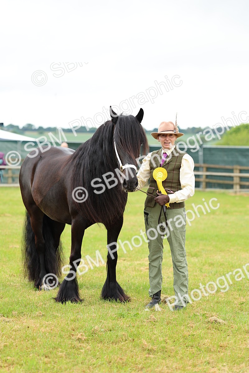 SBM_00576 - Class 58-67 - M&M Non Welsh Pony In hand