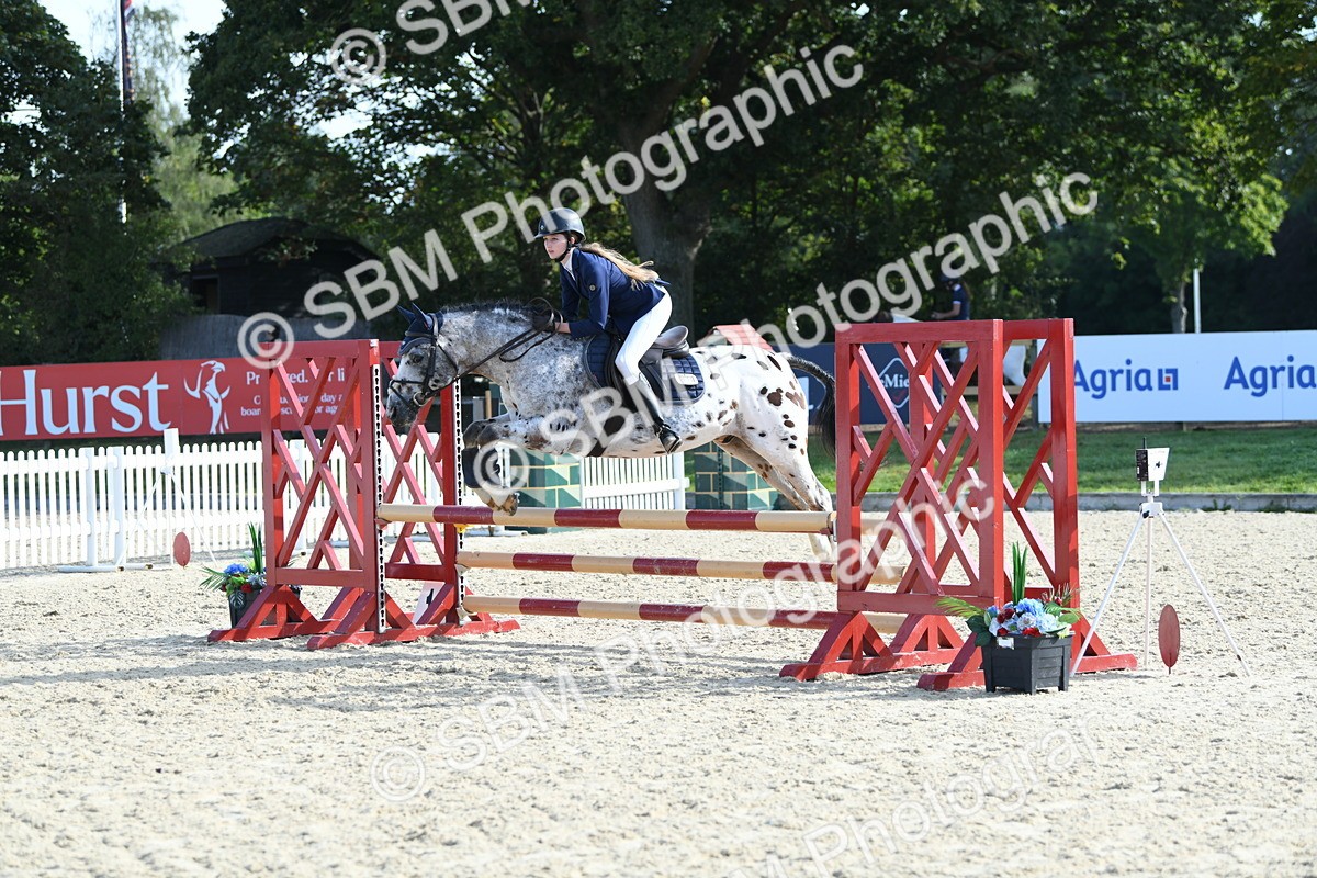 SBM_60726 - j25 - Junior Horse 80cm Championship