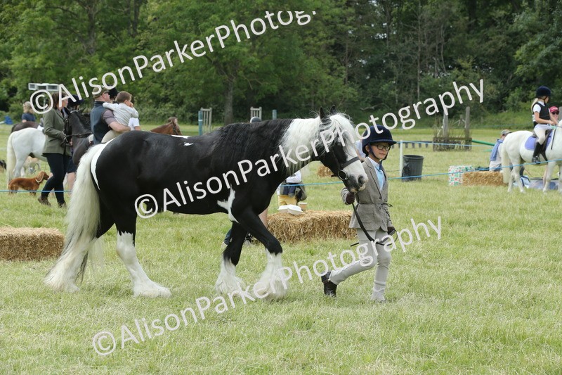 20260614-4281 - Class 18 - Best Junior Handler