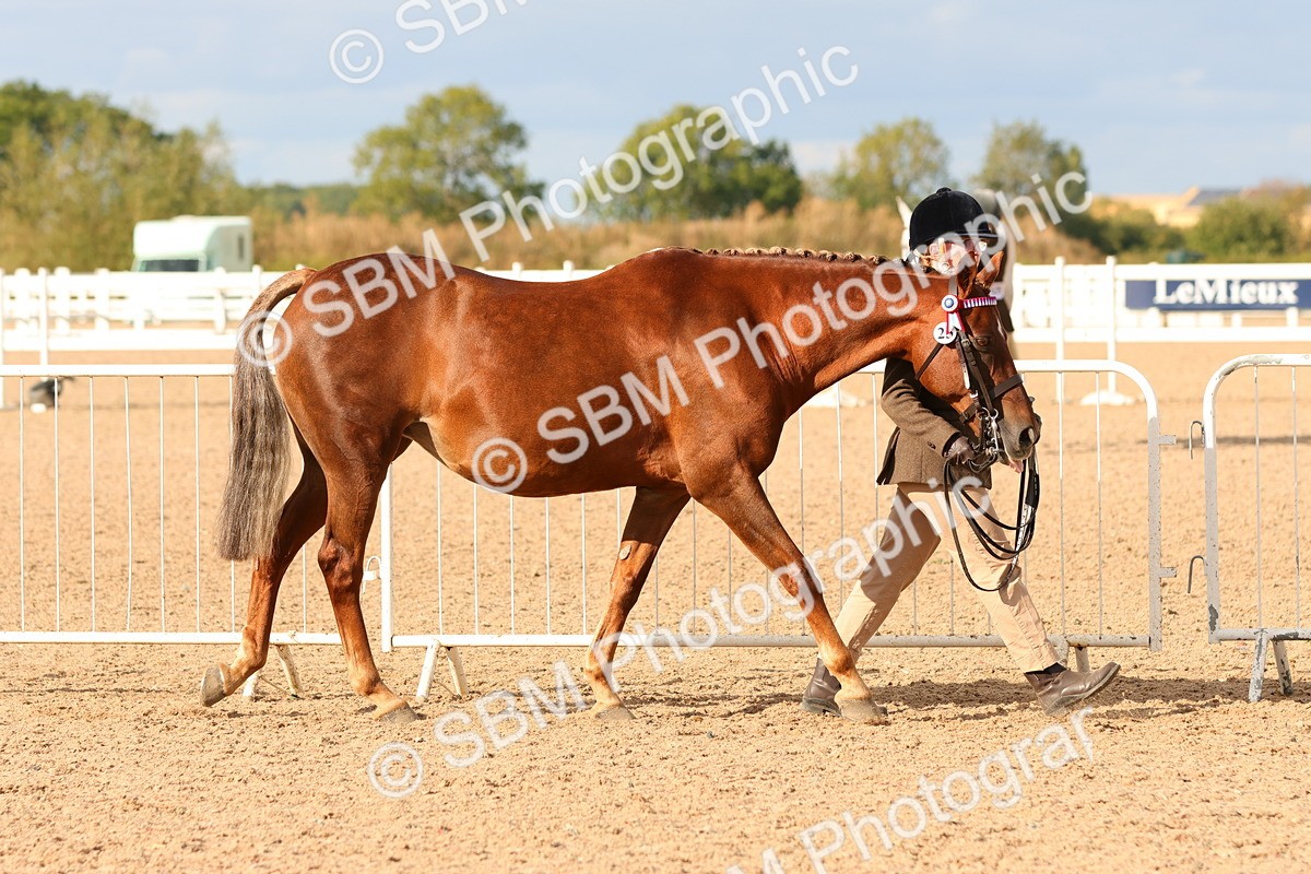 SBM_18345 - Class 318 - IH Part Bred Horse Pony