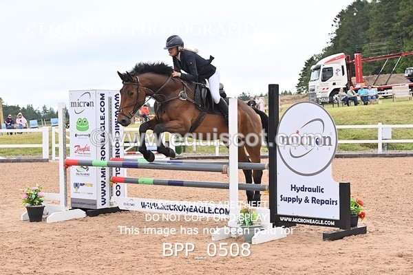 BPP_0508 - CLASS 28 SUN Nupafeeds Senior Dicovery/1m open