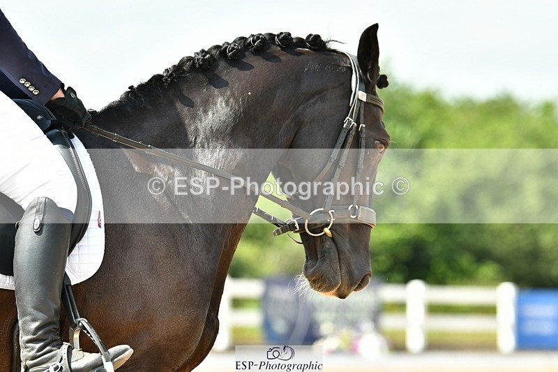 230701A-151526-06891 - Cls 11 Medium 73