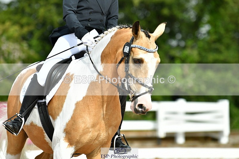 230708A-093630-02157 - Prelim 13