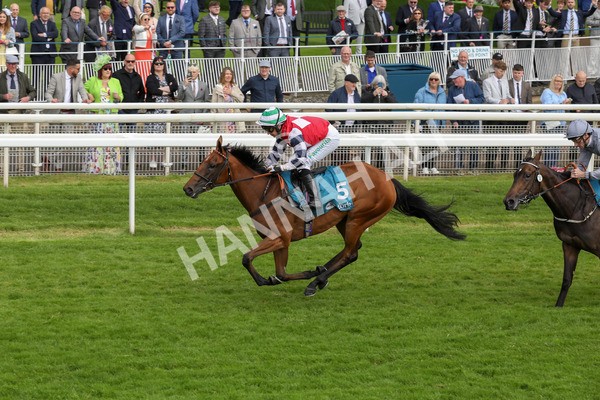 140624-Race 4-Havana Gila-5642 - Race 4 3.35pm Seat Unique Ganton Stakes