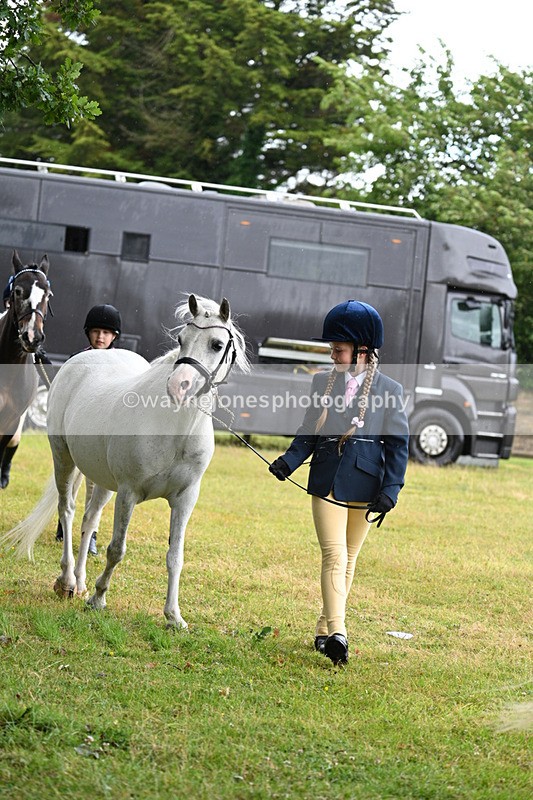 WJ7_5828 - Class 4 Prettiest Mare in Hand