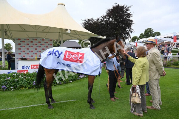 yr24072021r1-113 - Race 1 2.05pm Sky Bet Jump Jockeys Nunthorpe