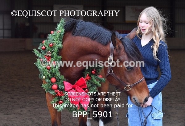 BPP_5901 - Marion West pony 3