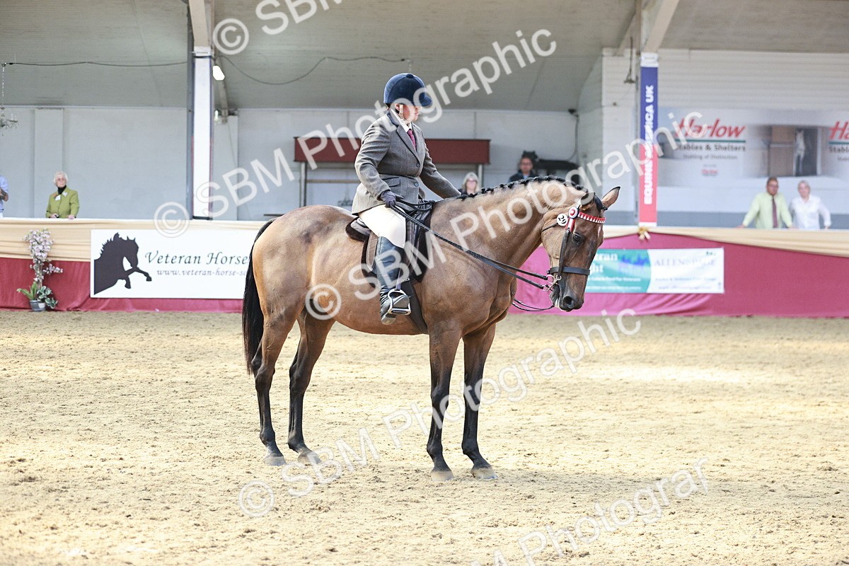 SBM_07092 - Class 10R - Regional Ridden Diamond