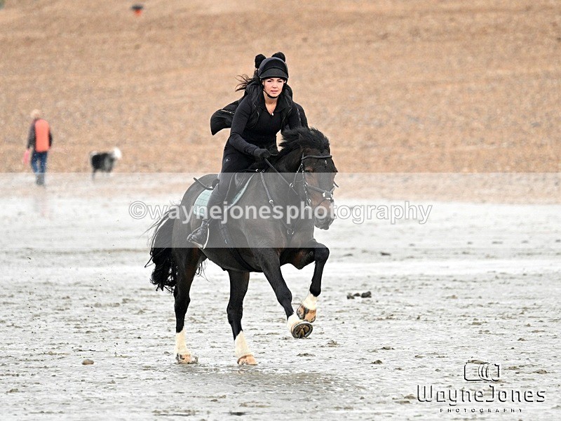 WJ7_9470 - Hayling Island Beach Shoot 22-09-24