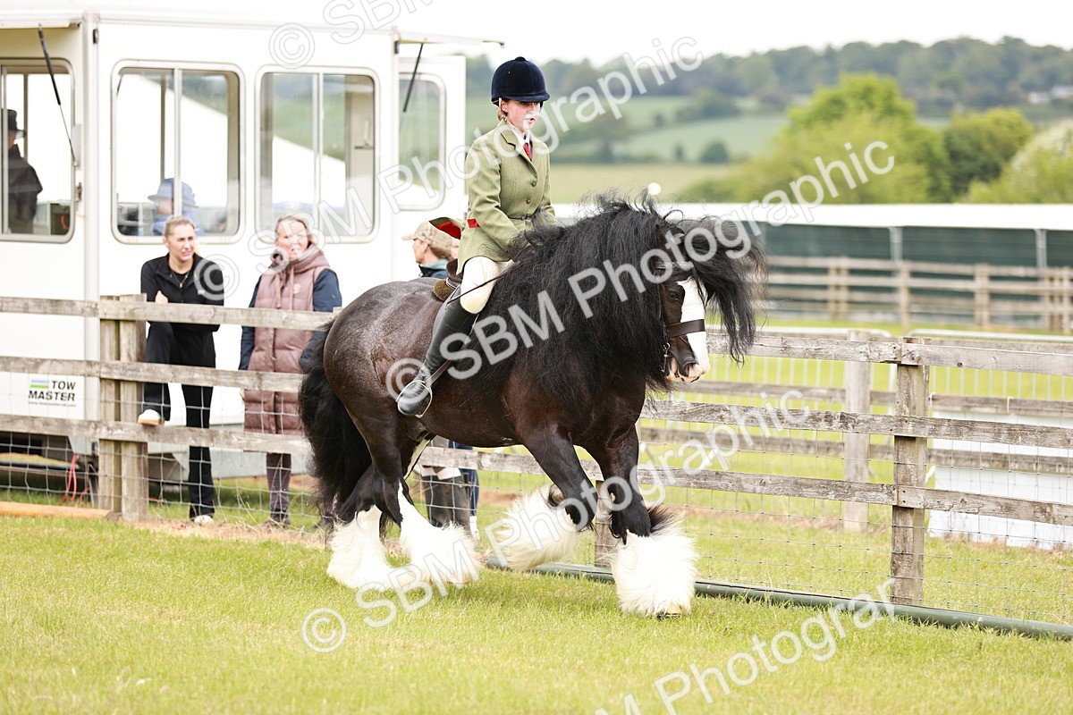 SBM_06132 - Class 39-41 TGCA In Hand and Ridden
