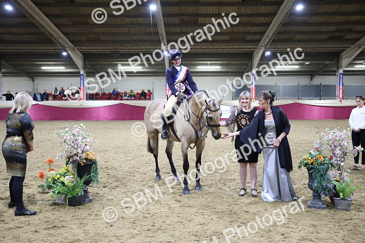 5K7A1598 - Class Q Style & Performance Champ