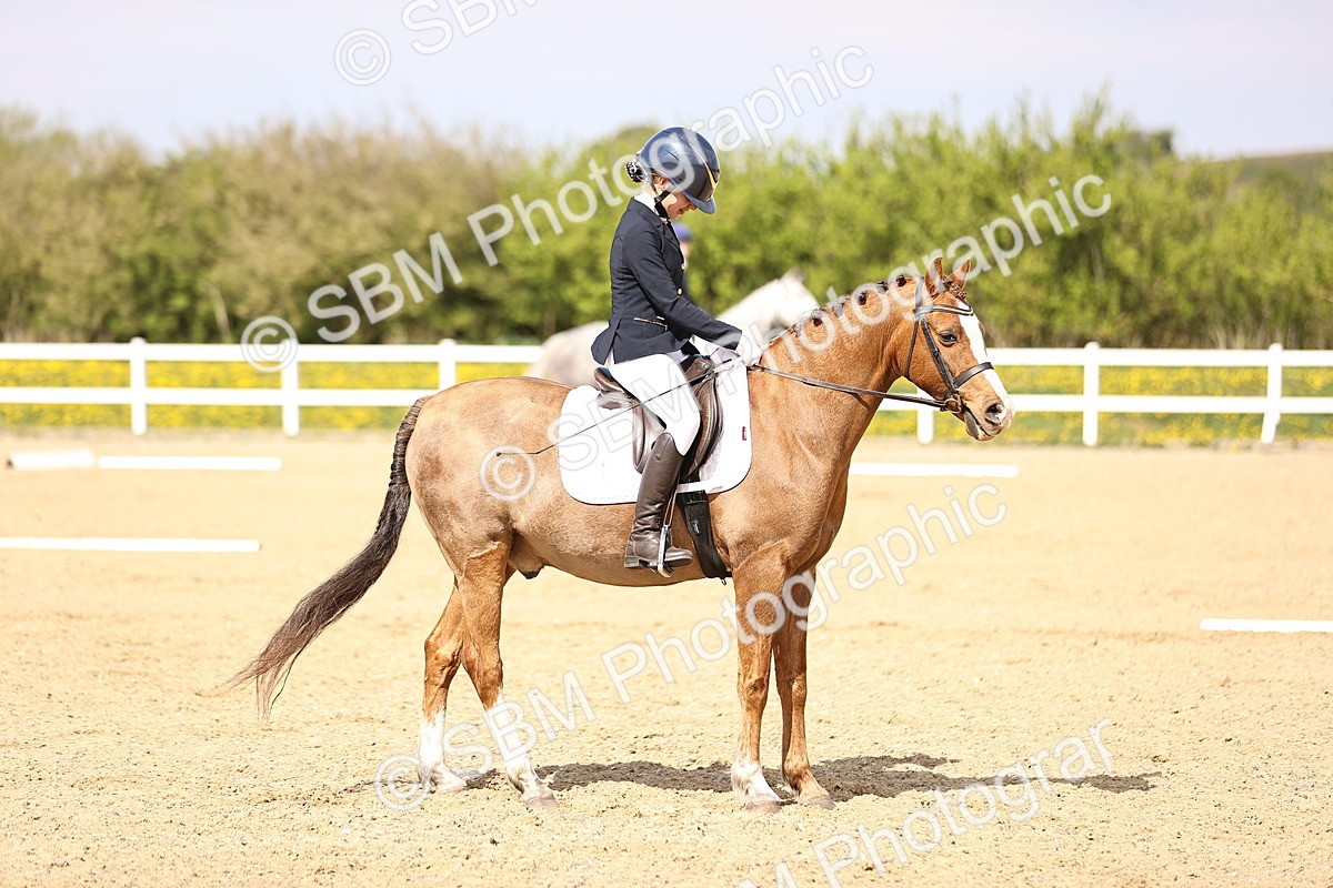 SBM_008445 - Class 8-10-11 - N3-E1-PYO