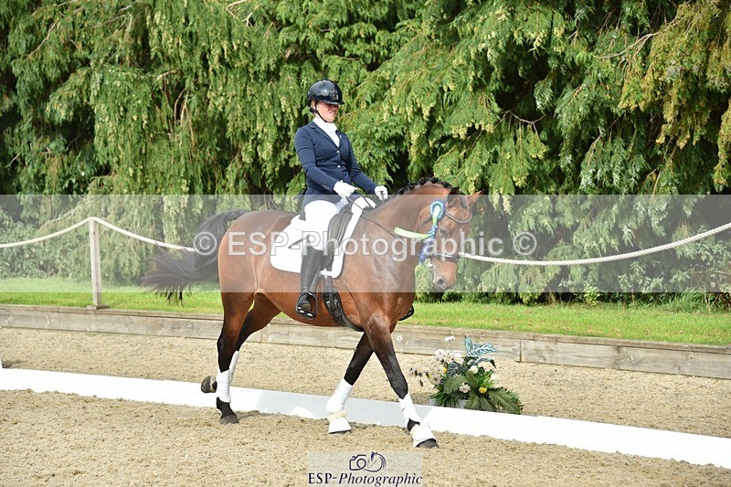 230812-160930-05440 - Novice Bronze Presentations