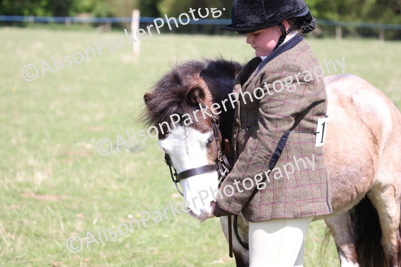 20250427-2987 - Class 27 - Coloured Horse and Pony