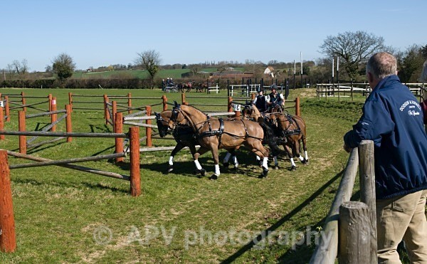 _DSC8881 - Ashfields Carriage & Polo Club