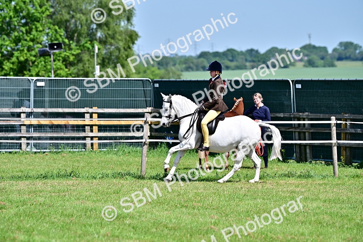 SBM_13902 - Class 95-97 - BSPS LHS Performance Ponies