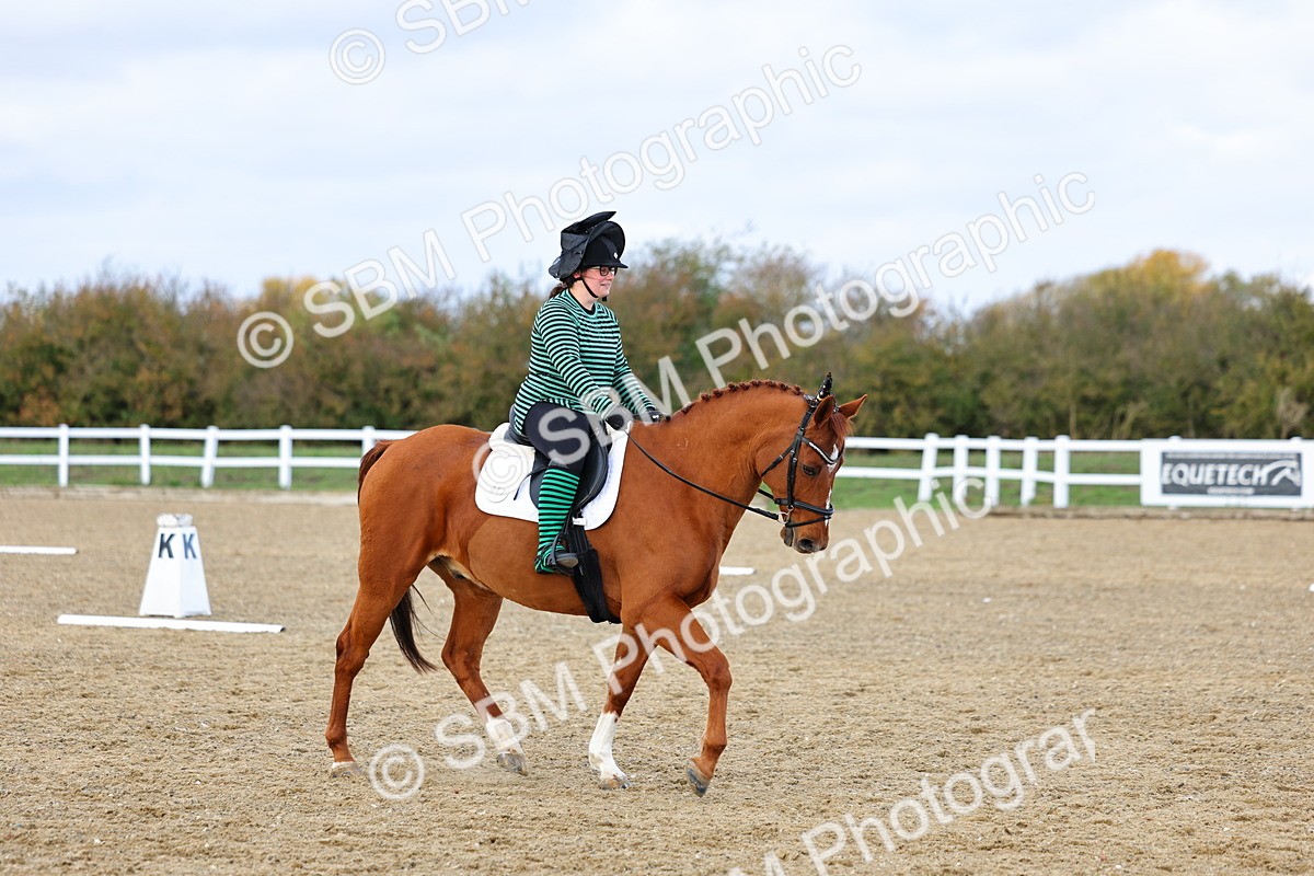 SBM_002584 - Class 8-11 - Novice 1-E1