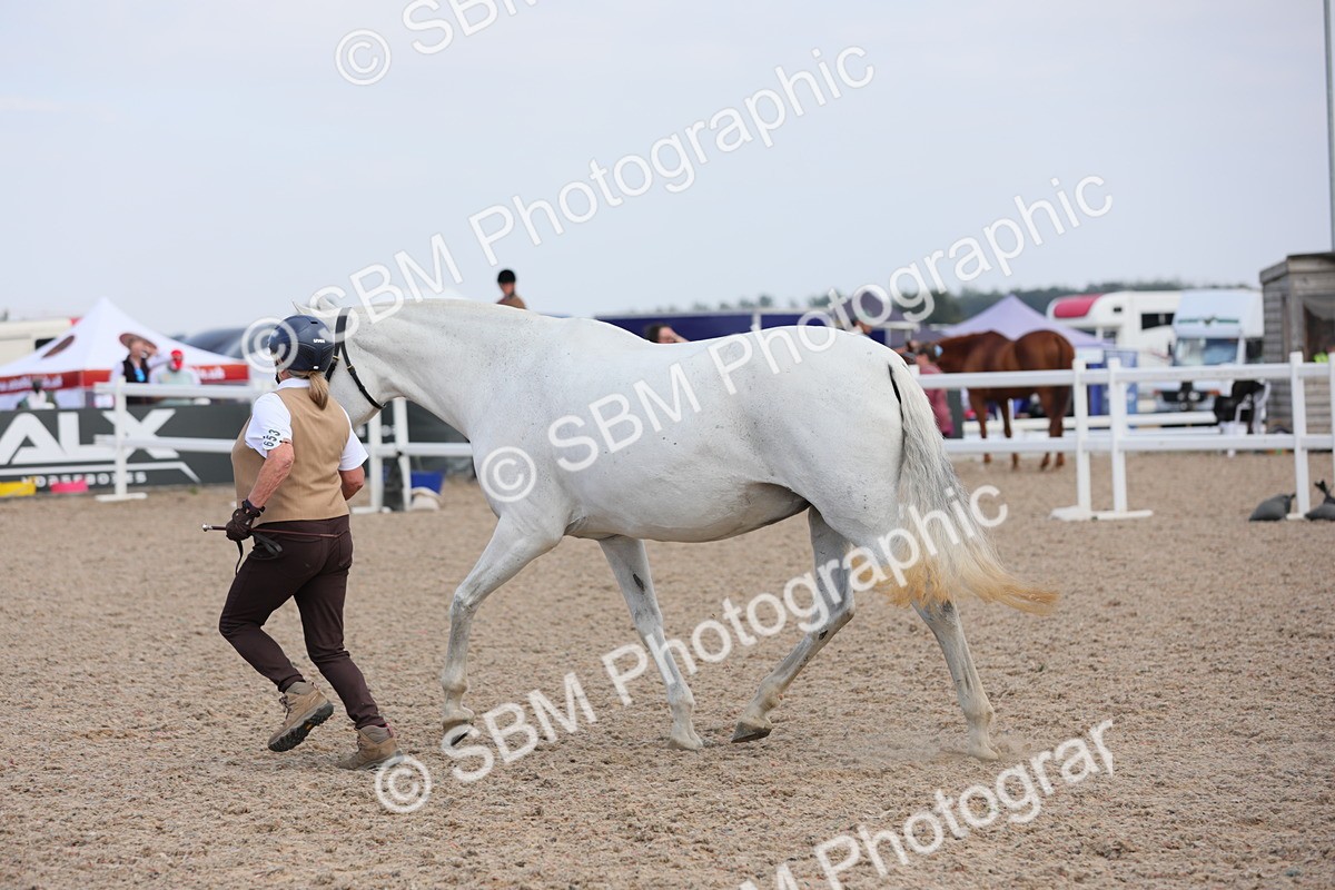 SBM_15825 - Class 312 IH Competition Horse/Pony