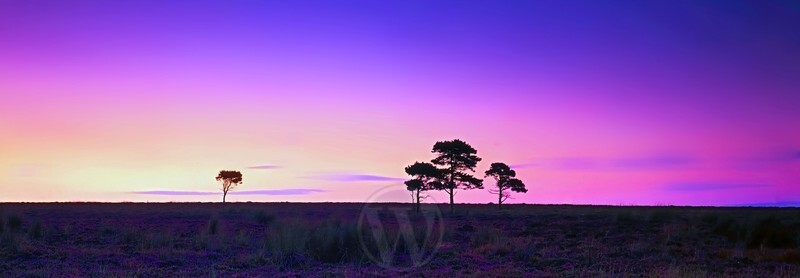 North Yorkshire Moors England - Sky