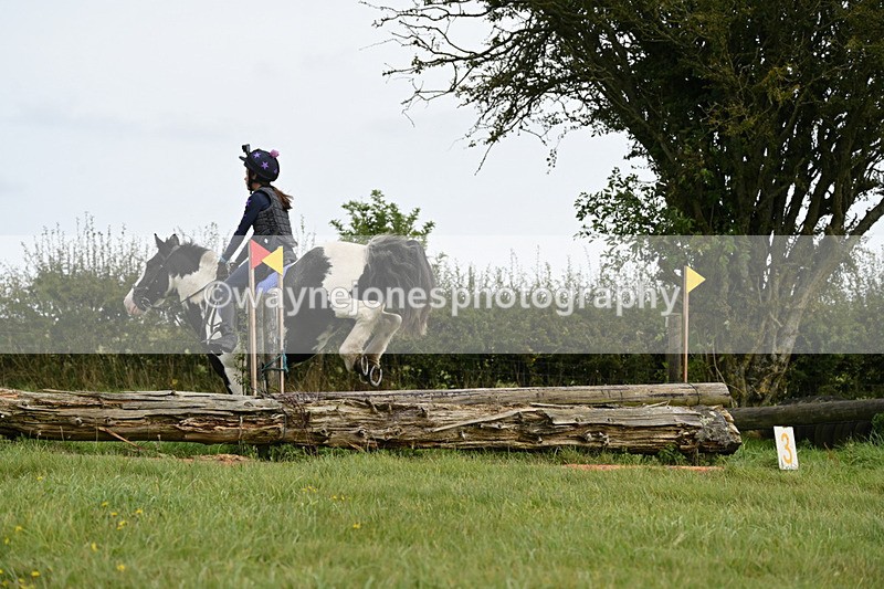 WJ6_9851 - Time 14:11 to 14:30