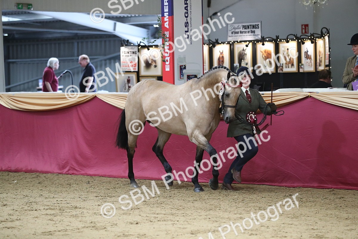 SBM_06617 - Regional IH Champ