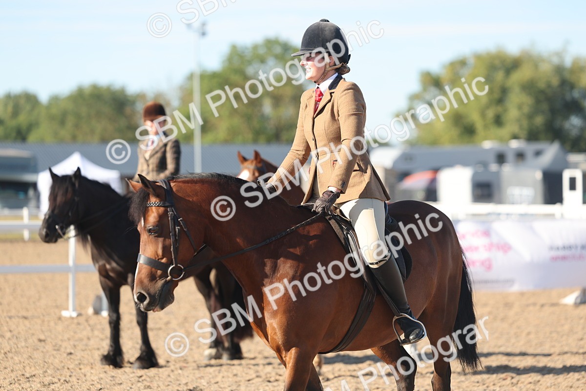SBM_11090 - Class 302 - Ridden M&M Large Breeds