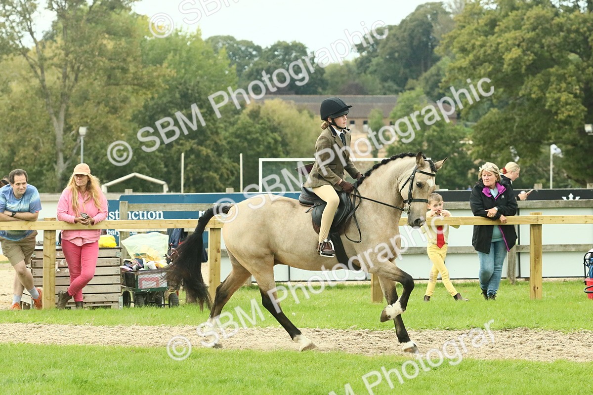 SBM_73996 - S 61 - Show Pony & Show Hunter Pony Ridden