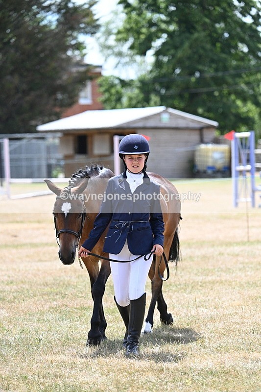 WJ7_2154 - Class 5 Most Handsome Gelding (up to 14.2hh) in hand