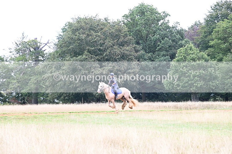 DSC_9490 - Time at Statue 15:11 to 15:58