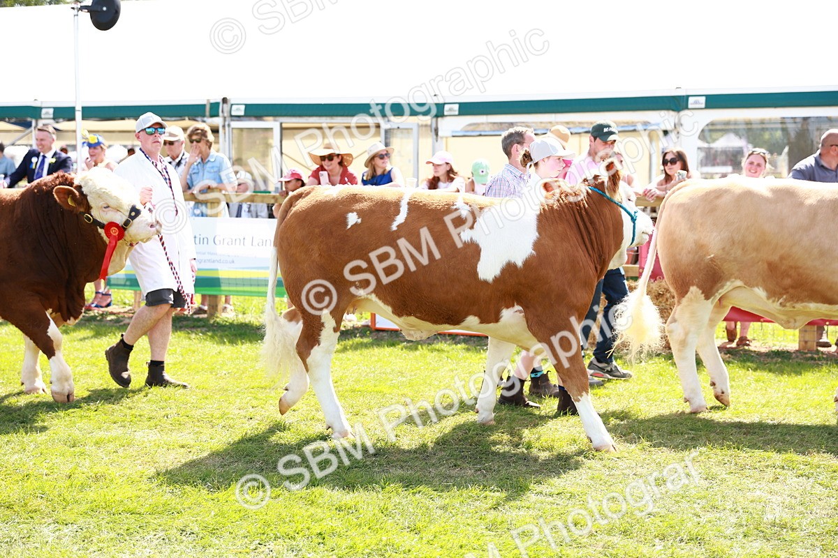 SBM_08440 - Grand Parade