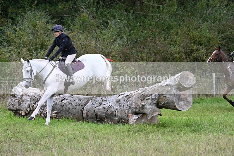 WJ7_3800 - Camera 1 Line 1