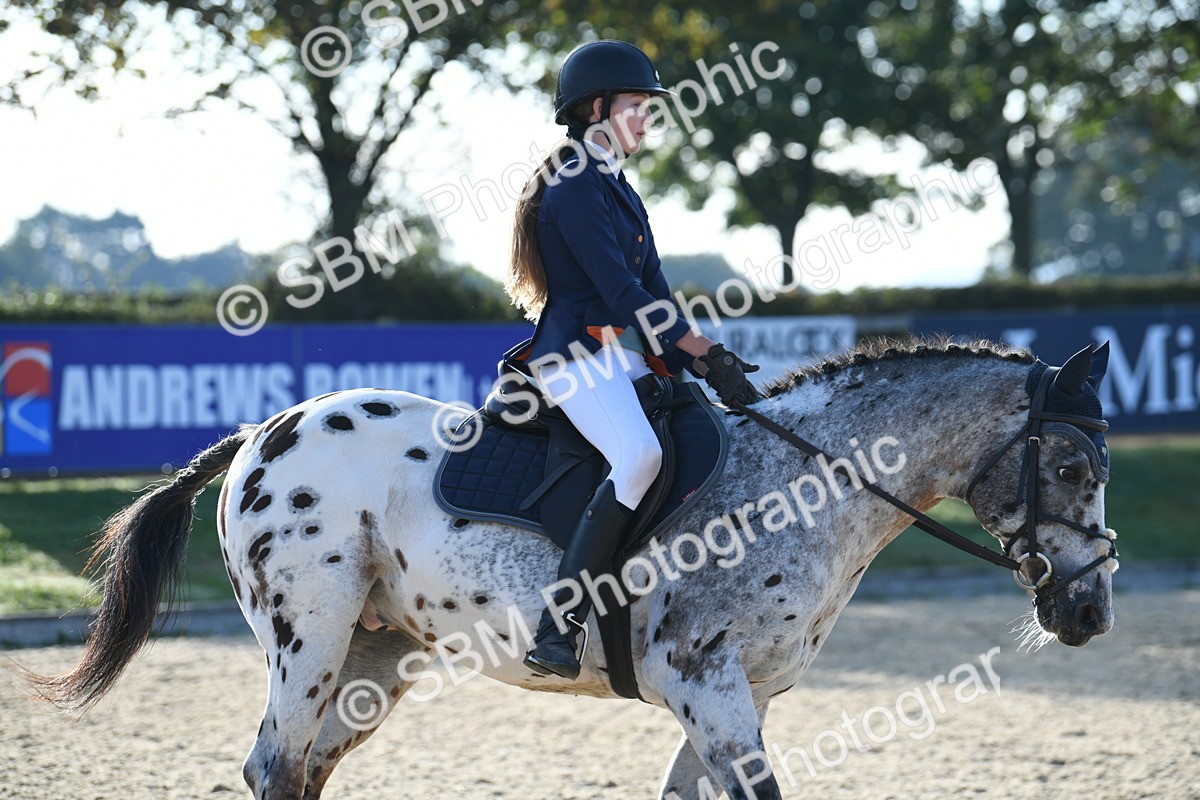 SBM_58341 - J24 - Junior Horse 75cm Championship