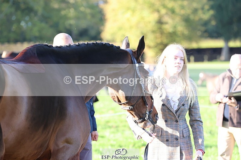 251026A-093751-22381 - E-398-Fenella.Redvers