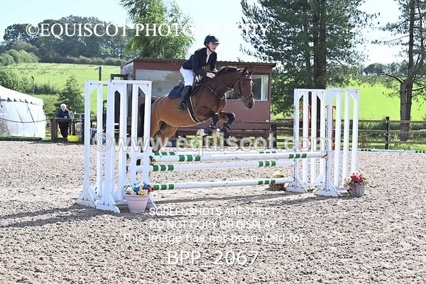 BPP_2067 - CLASS 1  FRI Club 80cms Open