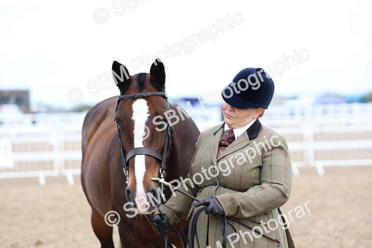 SBM_01491 - Class 17 - Prettiest Mare