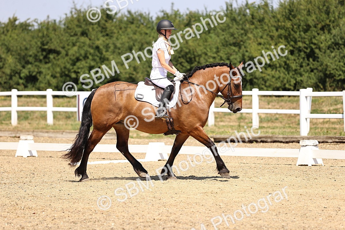 SBM_004003 - Intro 2