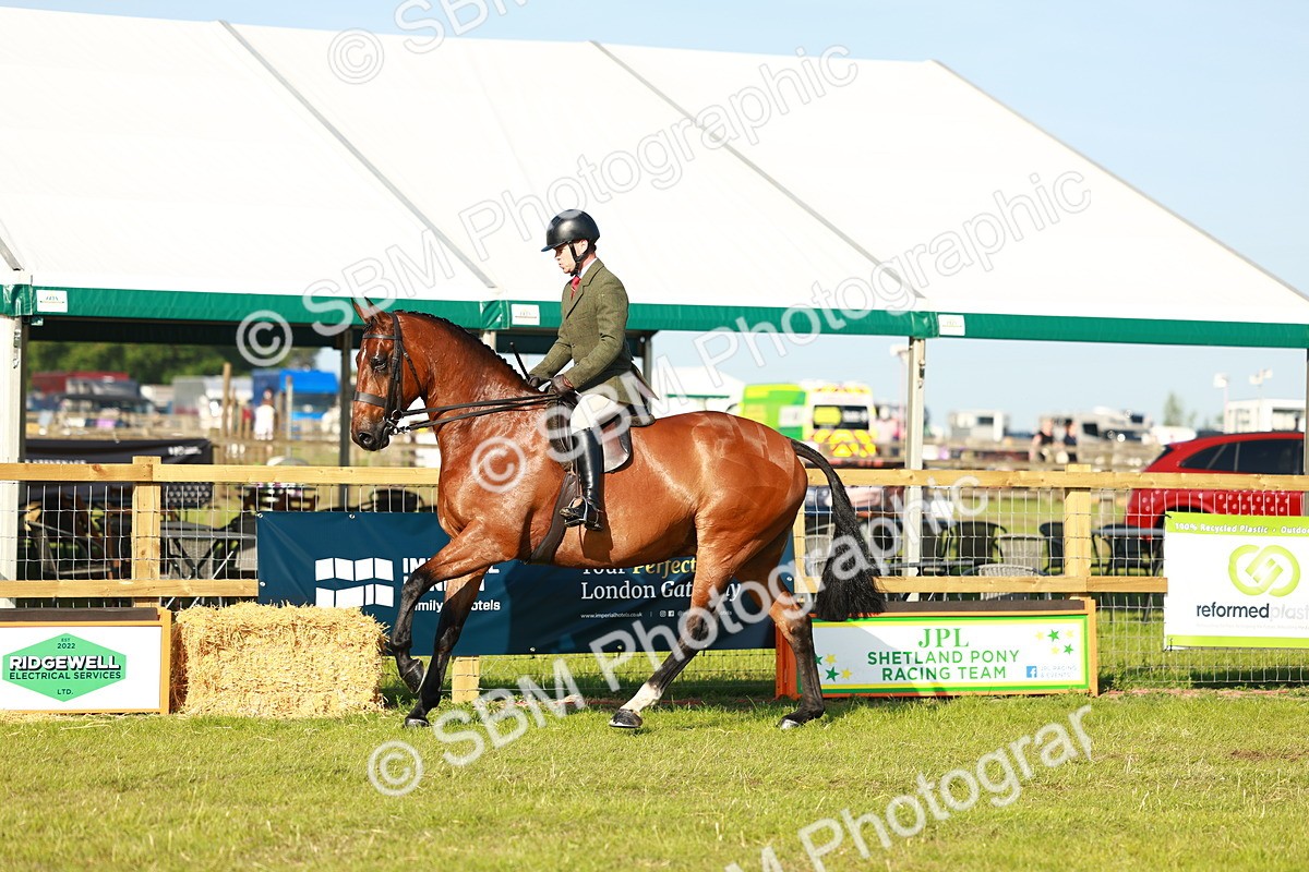 SBM_10765 - Class 66-69 - RIHS Ridden Hunters Inc Small Hunter