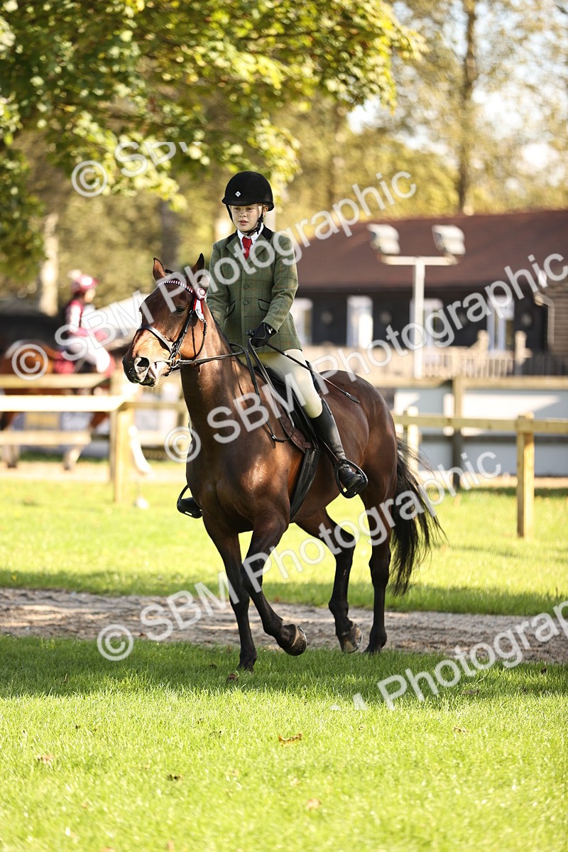 SBM_16979 - S2 - TSR Ridden Pony Showing