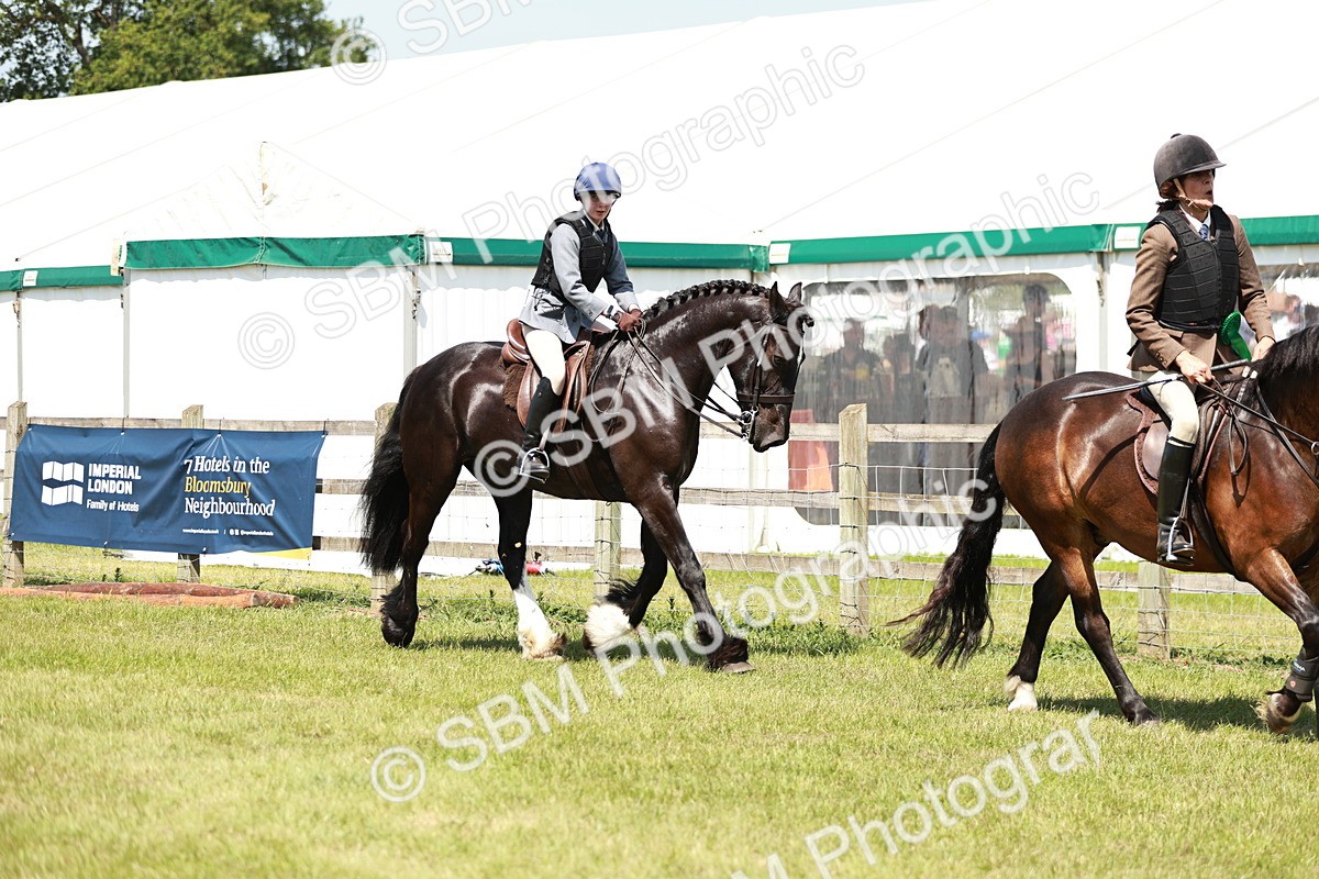 SBM_16439 - Class 110-111 - Training Stakes (70cms 80cms)